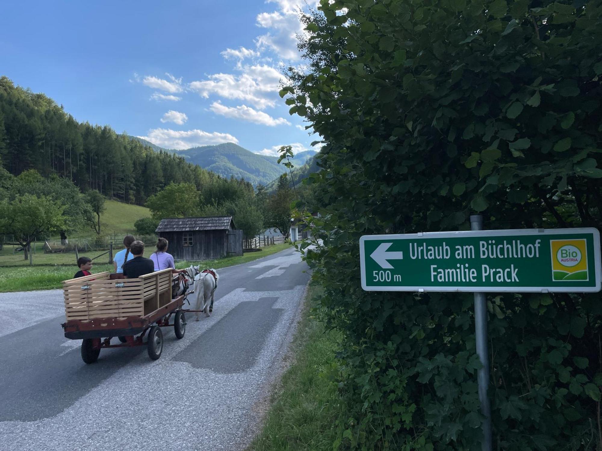Апартаменты Buechlhof - App. Himmelalm Lilienfeld Экстерьер фото